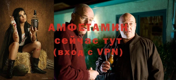сатива Балахна