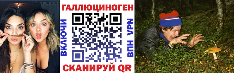 Галлюциногенные грибы Psilocybine cubensis  купить закладку  Власиха 